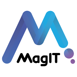 MagIT